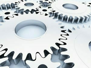 Entwicklung